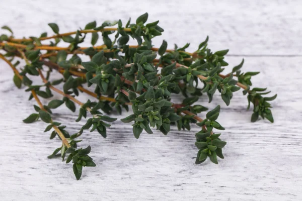 Green Thyme Branch Spice Cooking — Stock Photo, Image