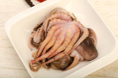 ham ahtapot yemek için hazır