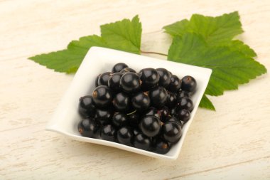 Olgun siyah kuş üzümü ile yaprak kase