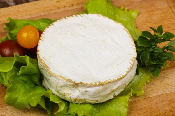 맛있는 카망베르 치즈 — 스톡 사진