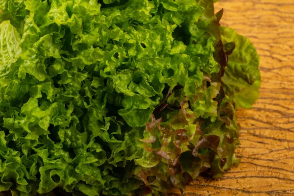 Zralé zelený salát listy — Stock fotografie