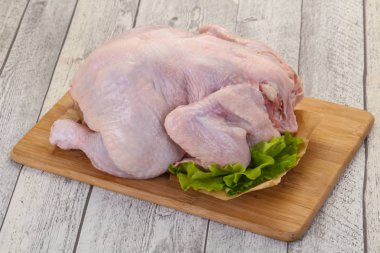 çiğ tavuk yemek için hazır