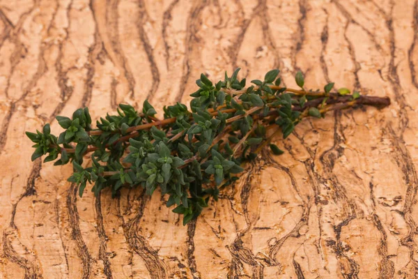 Green Thyme Branch Spice Cooking — Stock Photo, Image