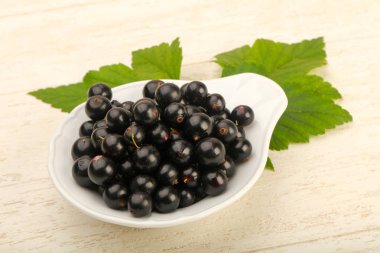 Olgun siyah kuş üzümü