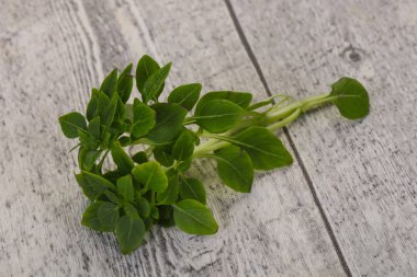 Yeşil fesleğen yaprağı