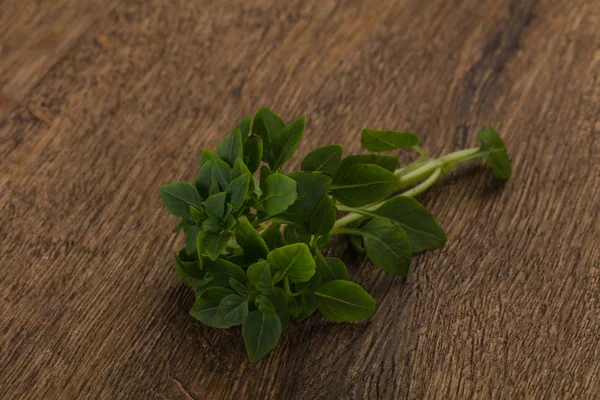 Gröna basilikablad — Stockfoto