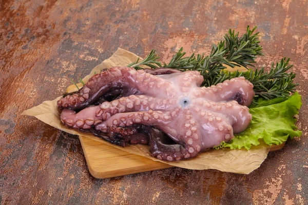 Ruwe octopus klaar voor het koken — Stockfoto