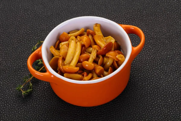Pickled honey agaric — Stock Image Pickled honey agaric Stock Image