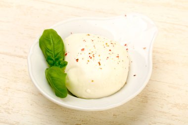 mozzarella peyniri