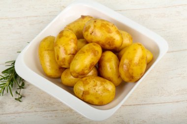 Ham genç patates