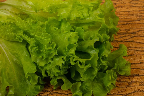 Feuilles de salade verte — Photo