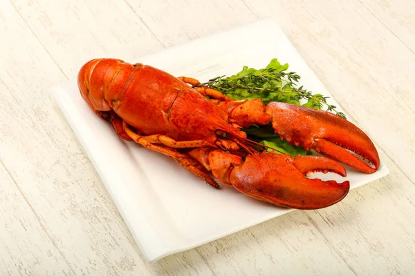 Lobster — Stock Photo, Image