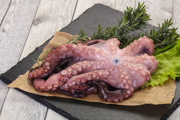 Ruwe octopus klaar voor het koken — Stockfoto