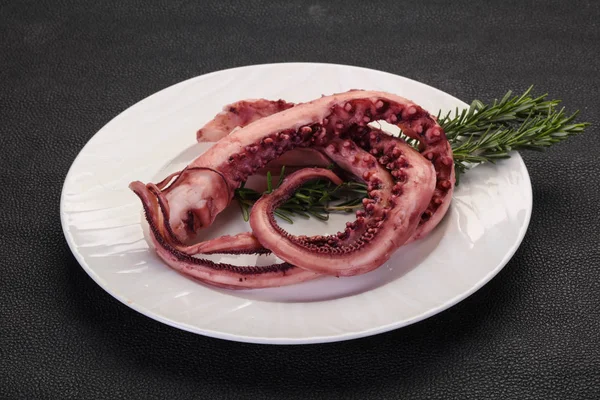 Tasty Octopus Tentacles Rosemary — Stock Photo, Image