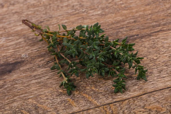 Groene Tijm Tak Specerijen Koken — Stockfoto