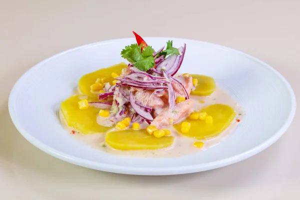 Ceviche 연어 — 스톡 사진