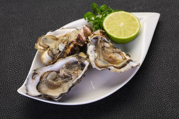 Fresh Oysters Lime Parsley — Stock Photo, Image