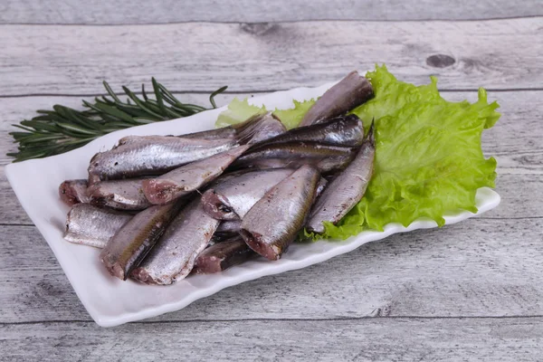 Ansjovis fisk mellanmål i skålen — Stockfoto