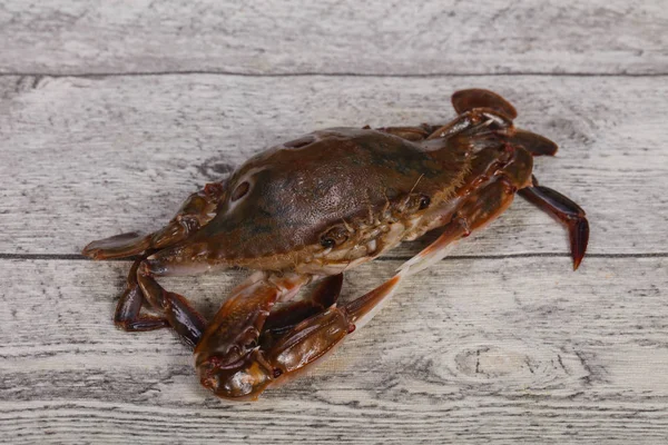 Rohe Krabben - bereit zum Kochen — Stockfoto