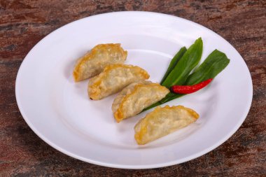 Japon geleneksel mutfağı Gyoza köfte