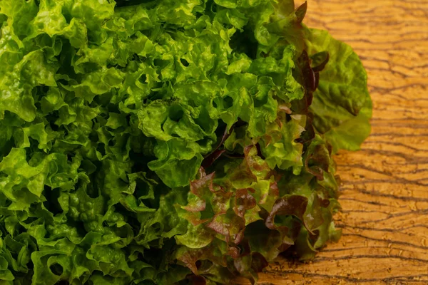 Feuilles de salade vert mûr — Photo