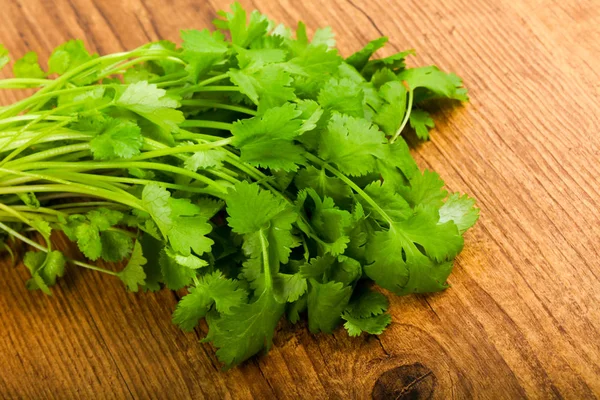 Cilantro —  Fotos de Stock