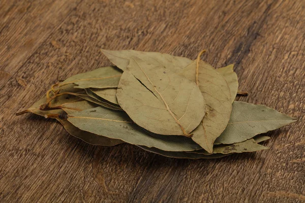 Dry laurel leaves — Stock Photo, Image