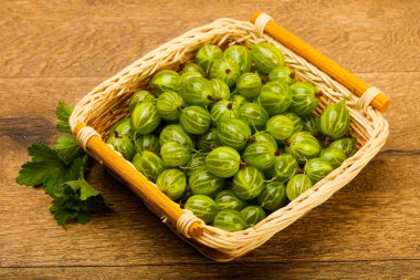 Bektaşi kabın içinde