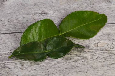 Kafir kireç yaprakları - Asya mutfağı için ek