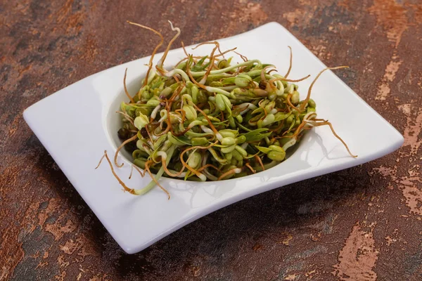 Mash bean sprout — Stockfoto