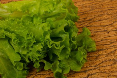 Yeşil salata yaprakları