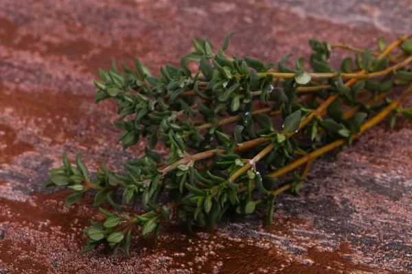 Groene tijmtakje — Stockfoto