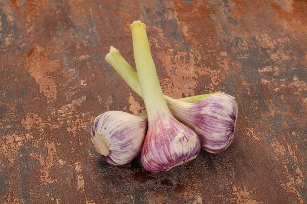 Junger Knoblauchhaufen — Stockfoto