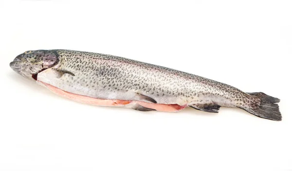 Rohe Forellen Fisch isoliert auf weiß — Stockfoto