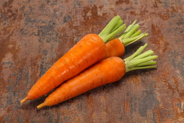 Tre giovani carote mature fresche — Foto Stock