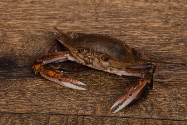 Rohe Krabben - bereit zum Kochen — Stockfoto