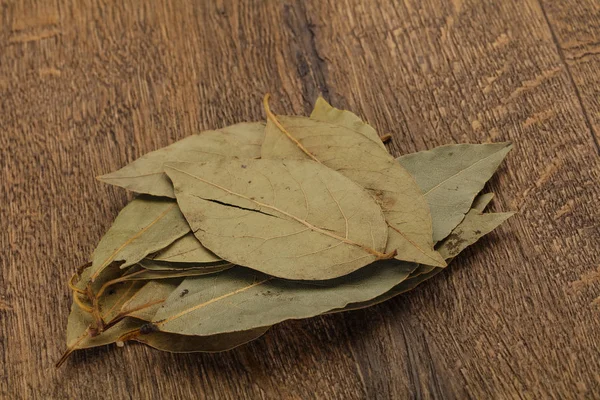 Сухий лаврового листя — стокове фото