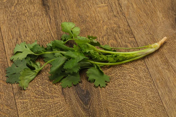 Čerstvě zralý zelený koriandru listy — Stock fotografie