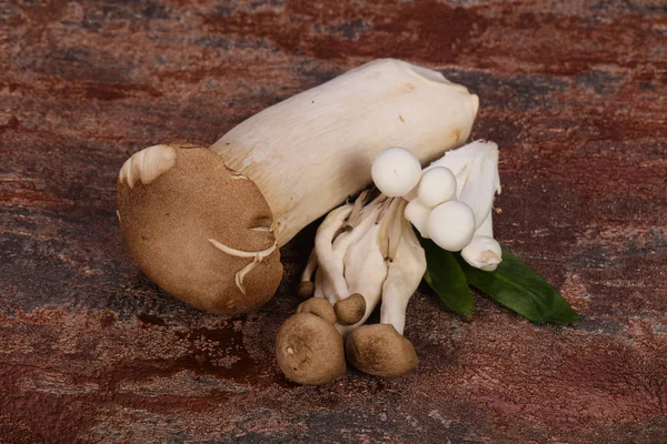 Raw Asian mushroom - ready for cooking