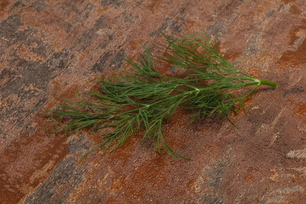 Ramo de ervas de endro verde fresco — Fotografia de Stock