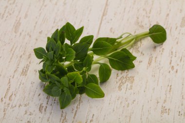 Yeşil fesleğen yaprağı