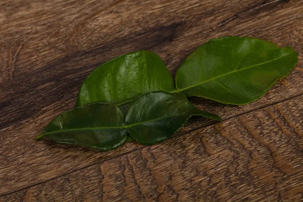 Kafir lime leaves - addition for Asian cuisine — Stock Photo, Image