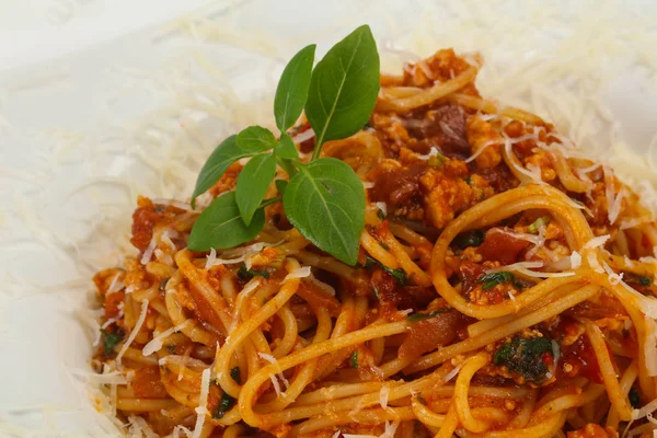 Pasta tradizionale italiana alla bolognese con carne — Foto Stock