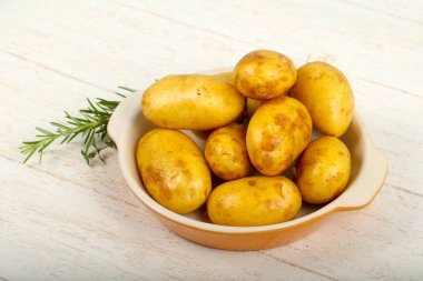 Ham genç patates