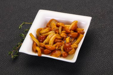 Turşu tatlım agaric