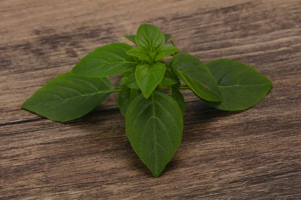 Folhas de manjericão verde fresco - para cozinhar — Fotografia de Stock
