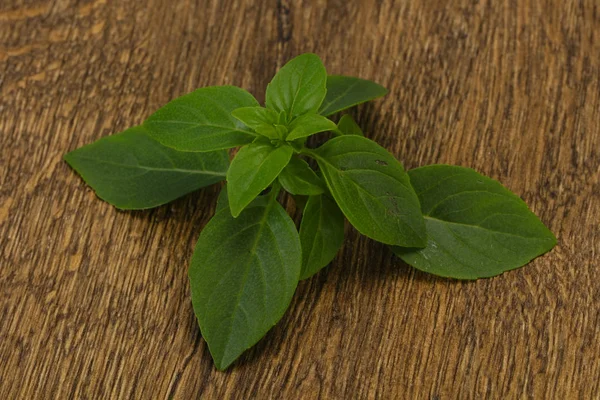 Taze yeşil Basil yaprakları-yemek için — Stok fotoğraf