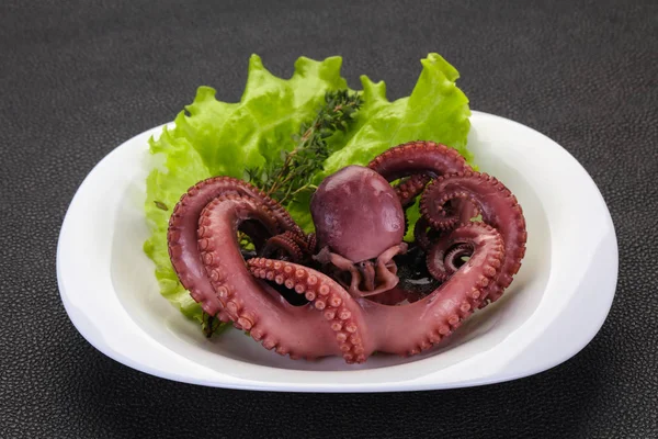 Gekookte octopus met kruiden — Stockfoto