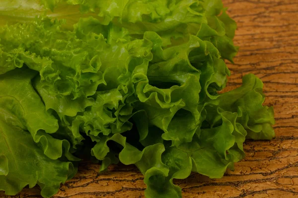 Listy zeleného salátu — Stock fotografie