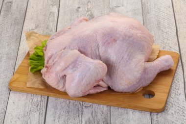 çiğ tavuk yemek için hazır